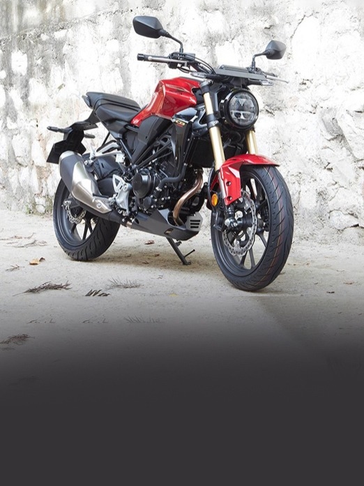 2024 होंडा CB300R भारत में हुई लॉन्च, ₹ 37,000 कीमत घटी!n