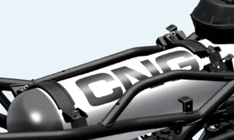 Protective Trellis Frame
