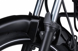 33 Dia Big Front Forks
