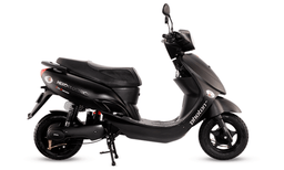 Telescopic Suspension
