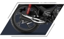 Premium Chrome Muffler Cover
