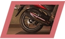 Rear Petal Disc Brake