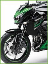 Exhaust System