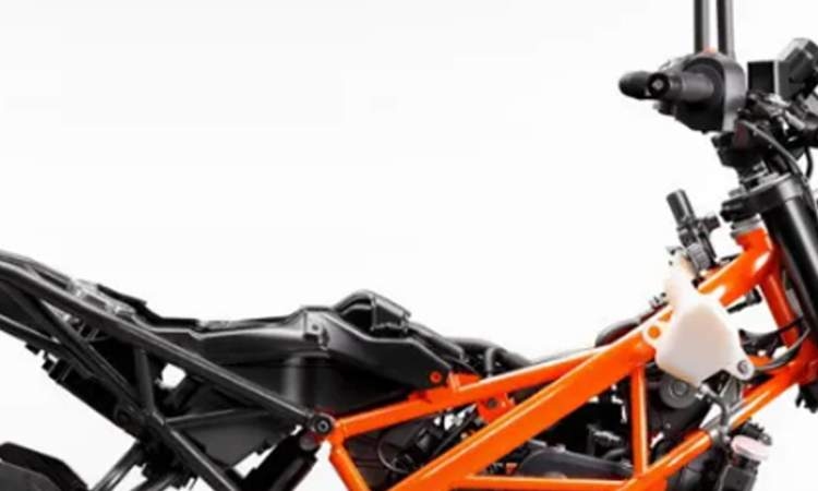 Split Steel Trellis Frame