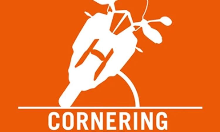 Cornering-ABS