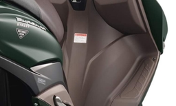 Dual Tone Inner Leg Shield